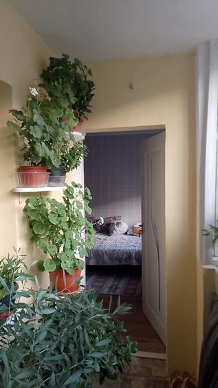 Apartament cu 2 camere semidecomandat în Mehadia