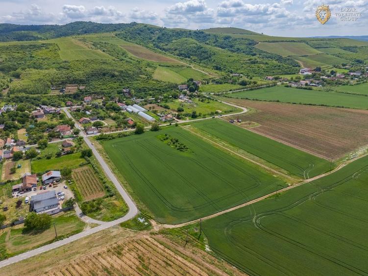 Teren agricol intravilan de 6400 mp, în Miniș