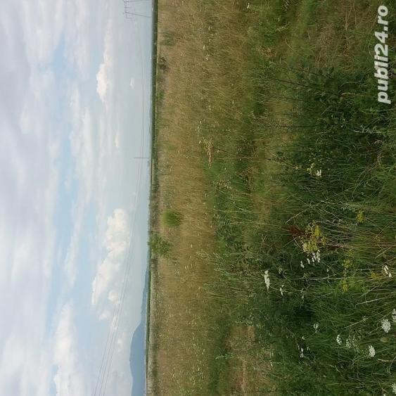 Teren de 2400 mp, în Central