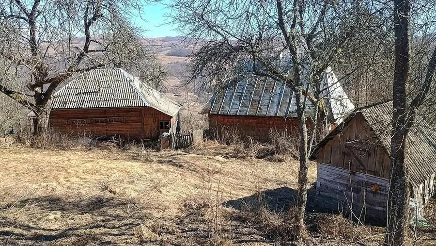 Casă cu Teren 2900 Mp în Peleș