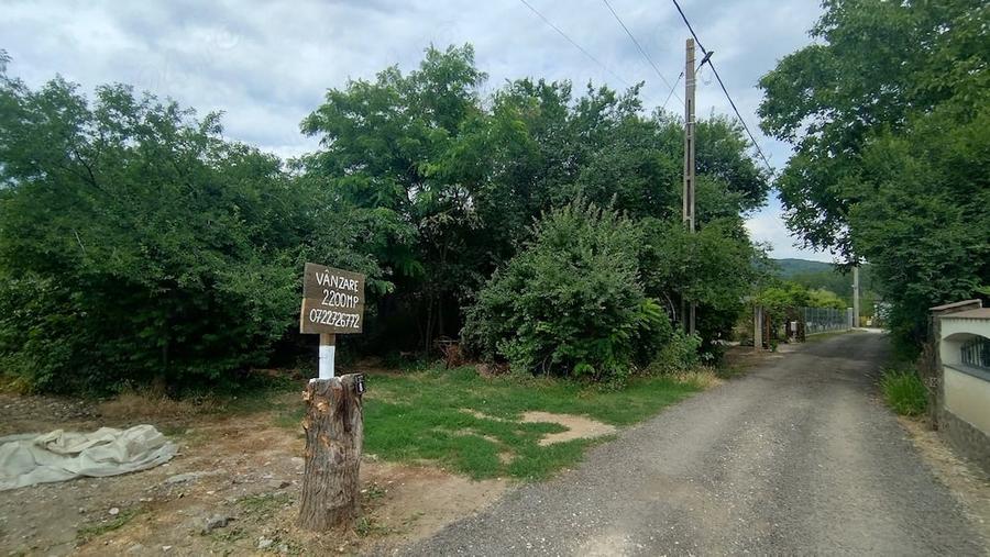 Teren de 2200 mp, în Olteni