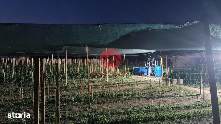 Casă cu 2 camere cu Teren 1711 Mp în Topraisar
