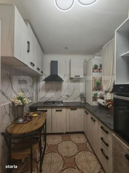 Apartament cu 3 camere decomandat în Viișoara