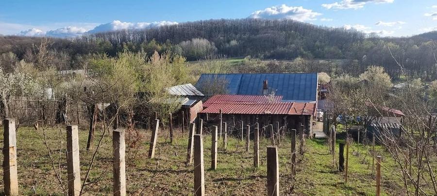 Casă cu 3 camere cu Teren 1558 Mp în Central