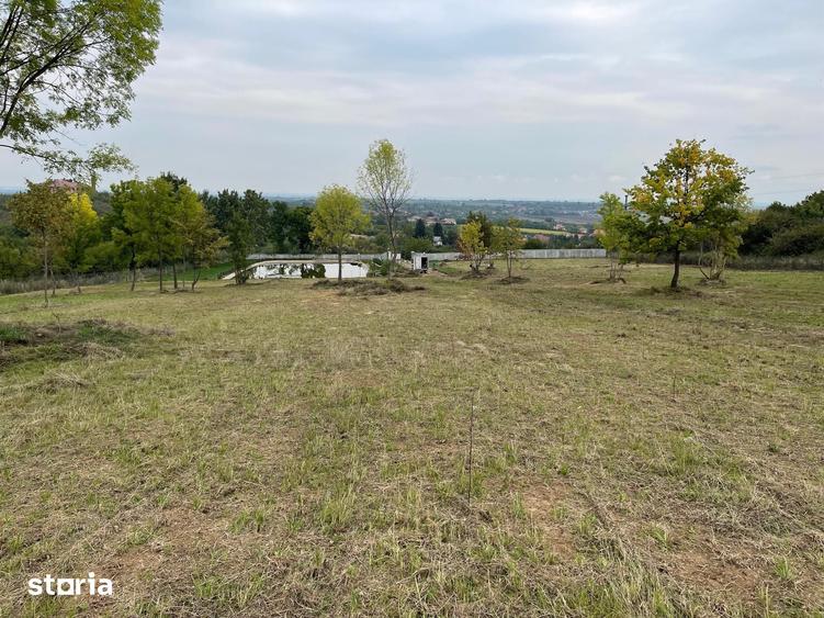 Teren cu balta 11.600 mp,Viile Satu Mare - 5