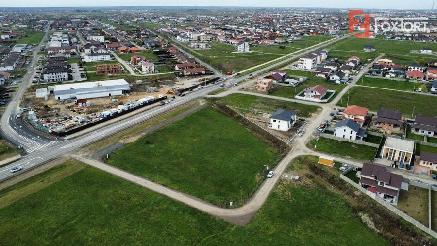 Teren Construcții intravilan de 1236 mp, în Moșnița Nouă