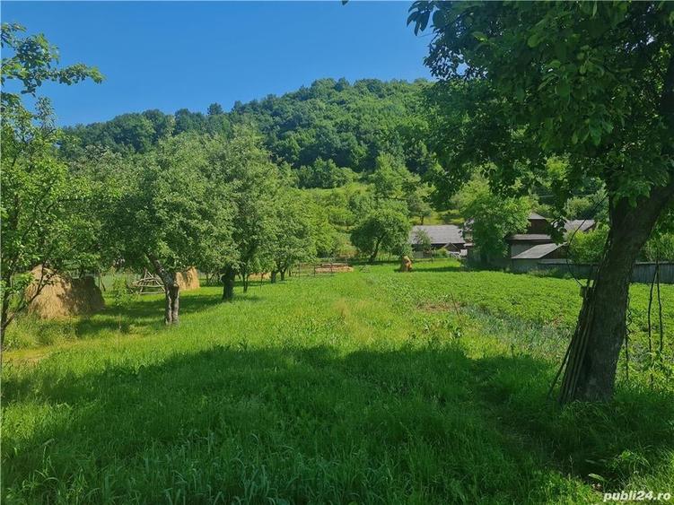 Casă în Săliște