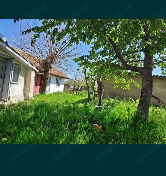 Casă cu Teren 6000 Mp în Pleșa