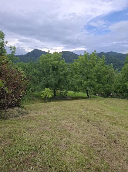 Teren de 2300 mp, în Brădețelu