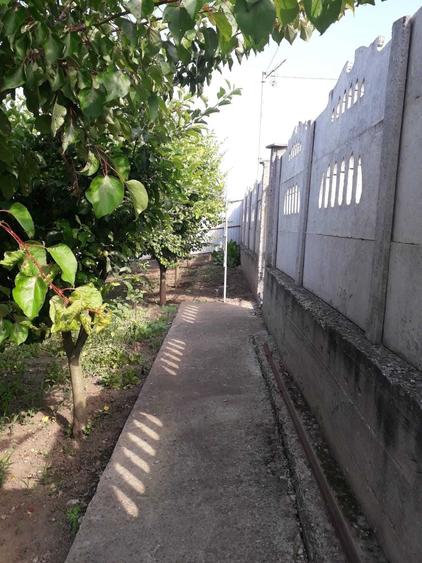 Casă cu 1 camere în Dancu