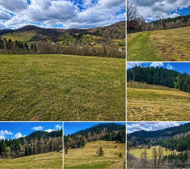Teren de 6250 mp, în Vidra