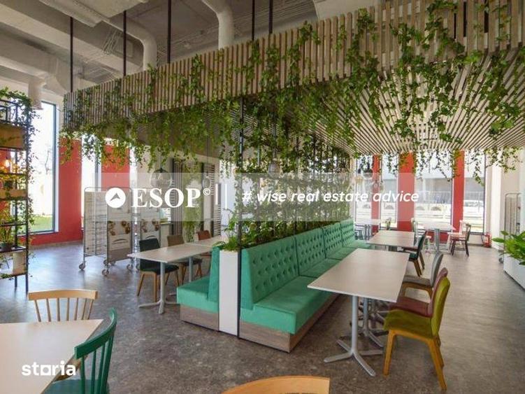 Spațiu comercial, de 400 mp, în Domenii