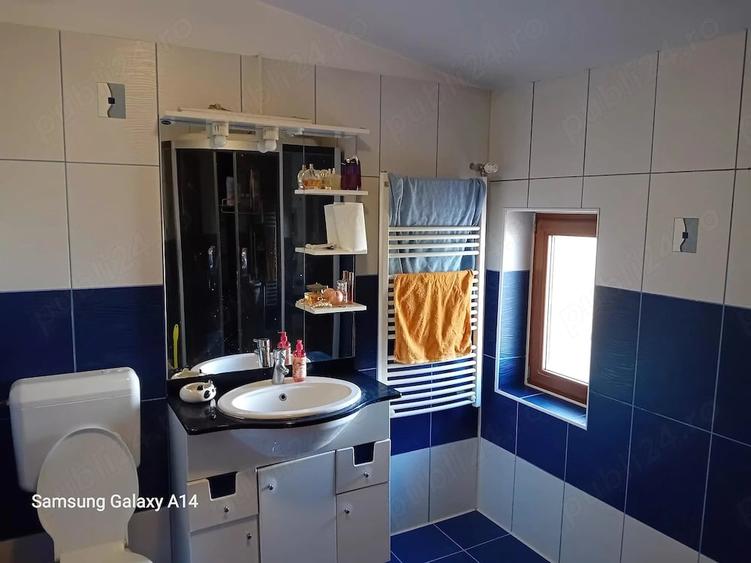 Vila Erou Iancu Nicolae - 1