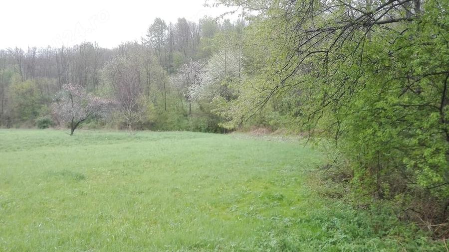 Teren de 2798 mp, în Sârbi