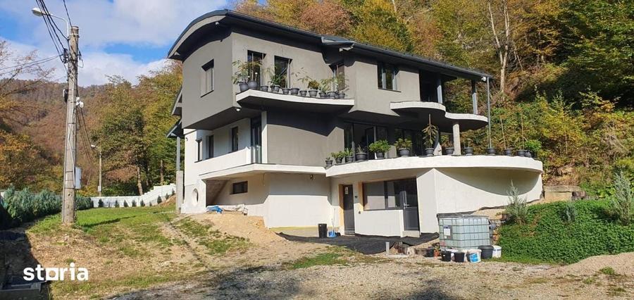 Casă cu 5 camere decomandat cu Teren 4700 Mp în Valea Roșie