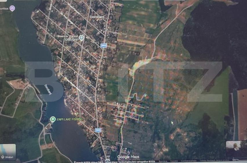 Teren Construcții extravilan de 9100 mp, în Dorobanț