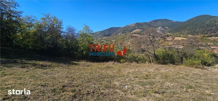Teren de 9770 mp, în Meteș