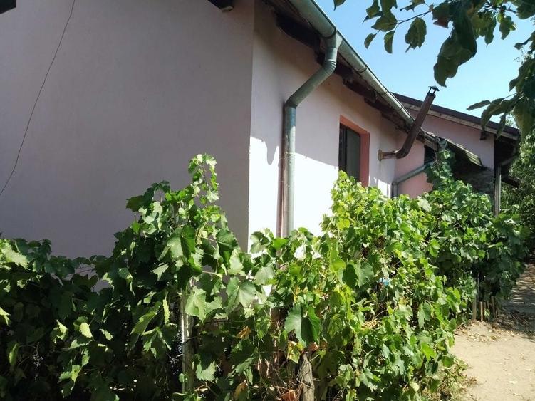 Casă cu 4 camere cu Teren 650 Mp în Bordei