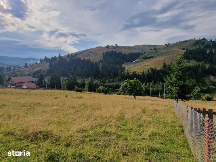 Teren de 1000 mp, în Central