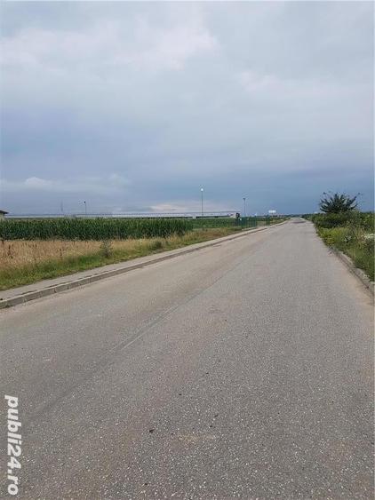 Teren de 15000 mp, în Oarja