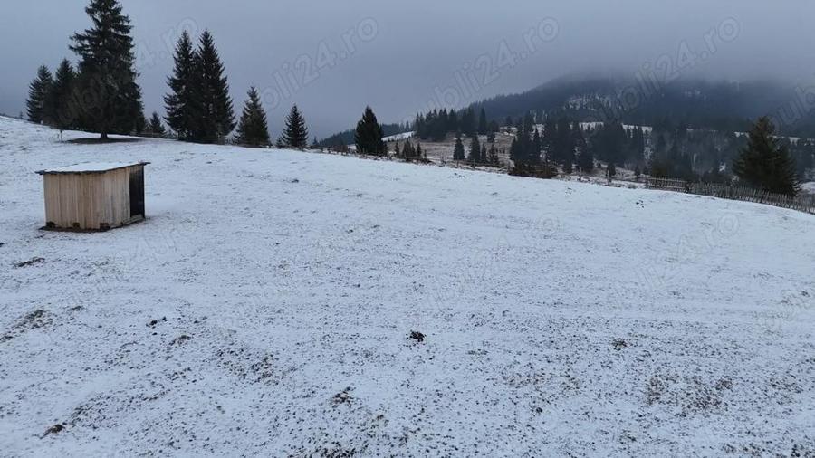 Teren extravilan de vanzare in Bucovina Breaza zona Paraul Negrei - 5