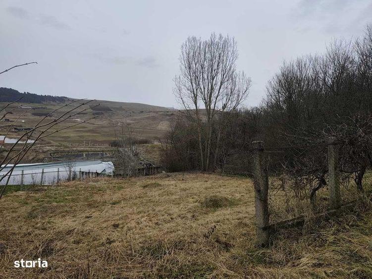 Teren de 5000 mp, în Sic