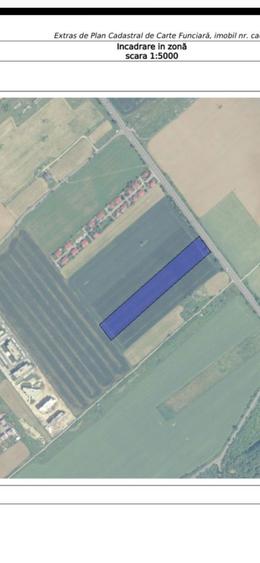 Teren de 17500 mp, în Albert