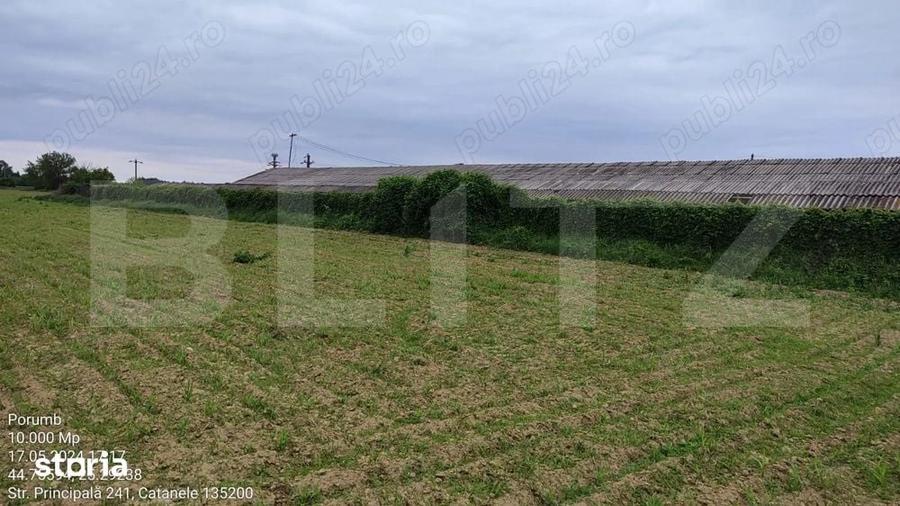Teren 1 hectar Intravilan + Extravilan | Acces facil | Post Trafo - 2