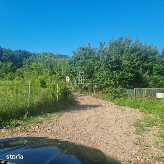 Teren Extravilan/Padure 90 000 Mp de Vanzare Zona Corunca/Acatari - 4