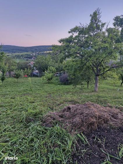 Teren de 740 mp, în Tomești