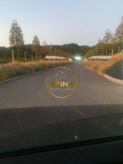Teren Construcții intravilan de 10000 mp, în Ciolpani
