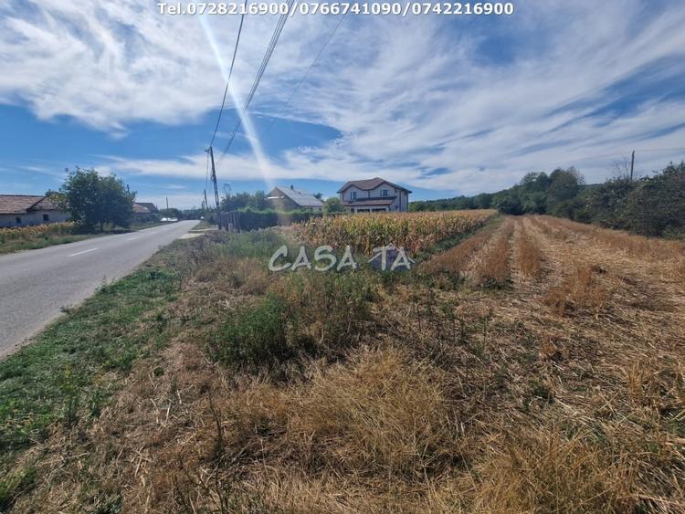Teren Construcții intravilan de 2309 mp, în Cartiu