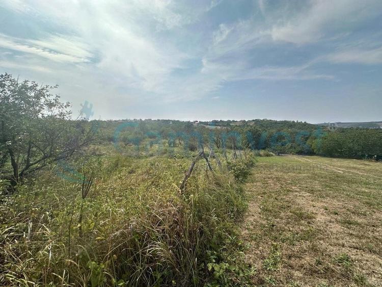 Teren Construcții intravilan de 1579 mp, în Săldăbagiu de Munte