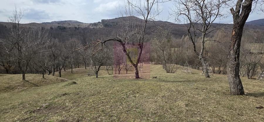 Teren de 2220 mp, în Valea Doftanei
