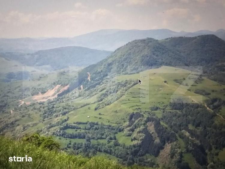 Teren de 30858 mp, în Ocoliș