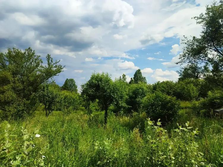 Casă individuală cu 10 camere cu Teren 4914 Mp în Breaza de Jos