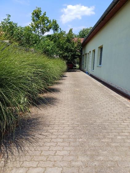 Ofer spre vanzare casa cu 3 apartamente - 9
