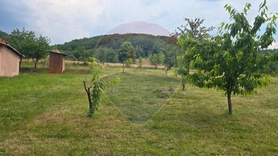 Casă cu 4 camere cu Teren 2000 Mp în Damiș