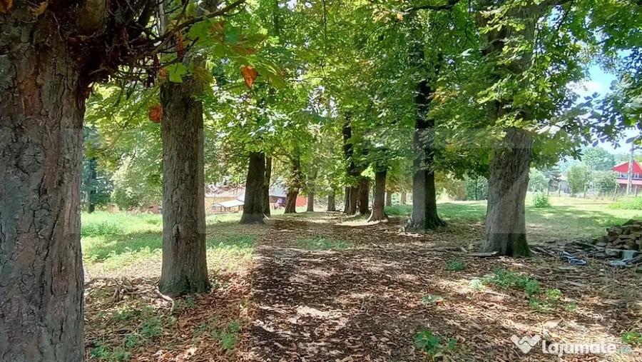 Casă cu 3 camere cu Teren 18449 Mp în Păingeni