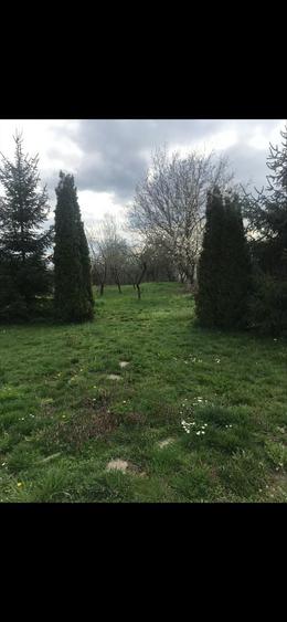 Casă cu 4 camere în Gostilele