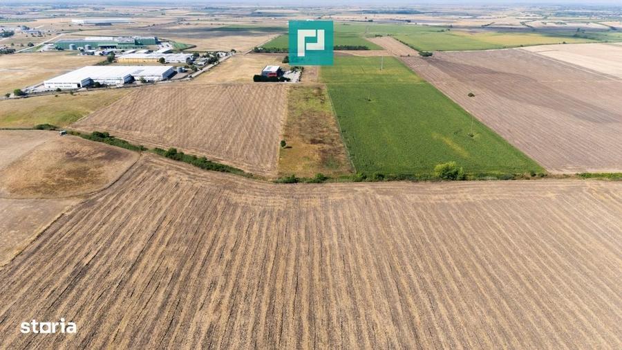 Spațiu comercial, în Freidorf
