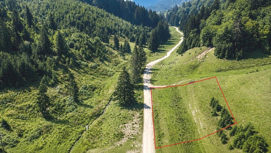 Teren Construcții intravilan de 2763 mp, în Poiana Brașov