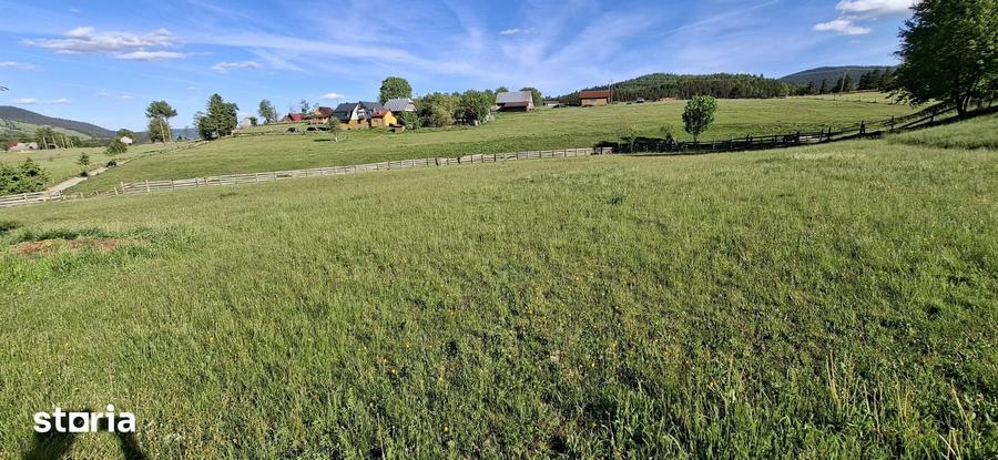 Teren de 2000 mp, în Arieșeni