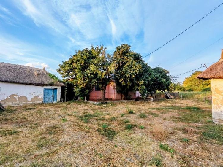Casă cu 3 camere în Sălcioara
