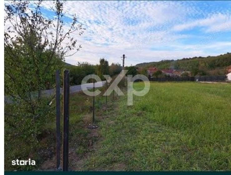 Teren de 1000 mp, în Băbana