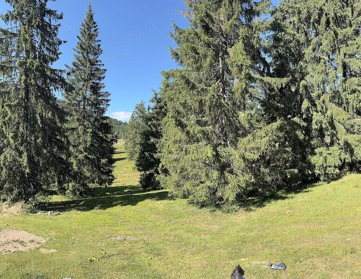 Teren de 250 mp, în Central