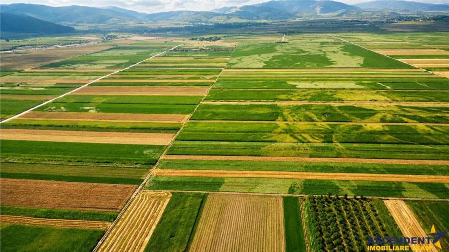 Teren de 738 mp, în Stupinii Prejmerului