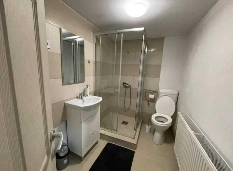 Vand sau schimb casa Campu Cetatii din caramida si lemn - 7
