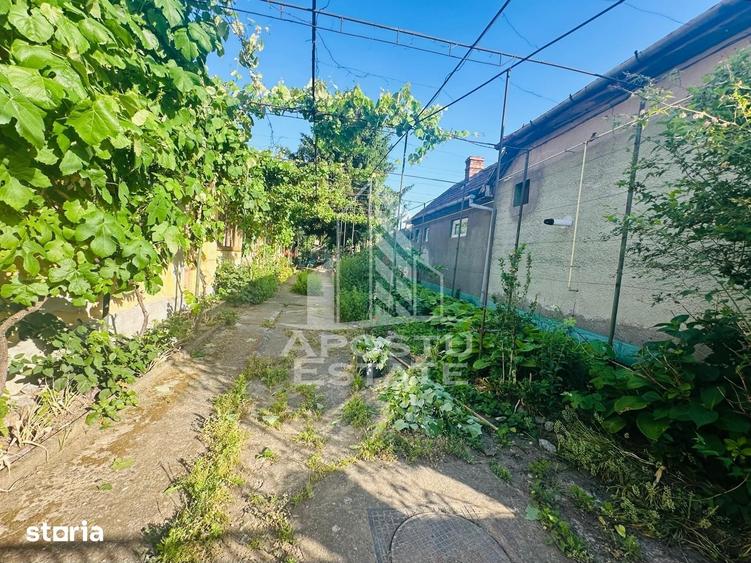 Casă cu 4 camere cu Teren 950 Mp în Zimandu Nou
