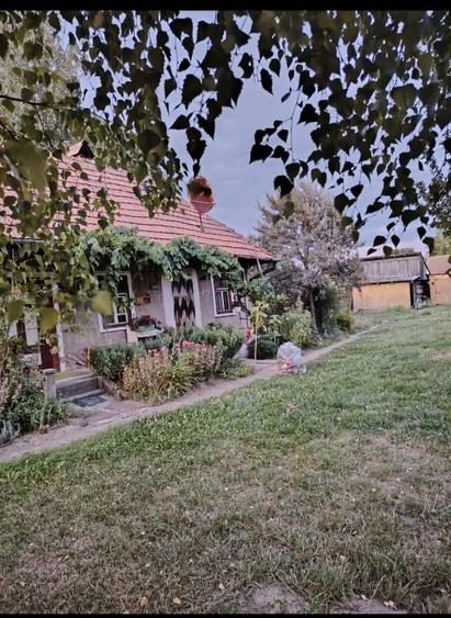 Casă individuală cu 4 camere cu Teren 2840 Mp în Boroșneu Mare